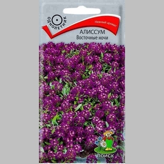 Алиссум Восточные ночи