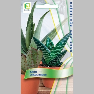 Алоэ Смесь видов