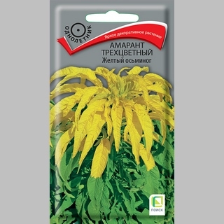 Амарант Жёлтый осьминог (трехцветный)