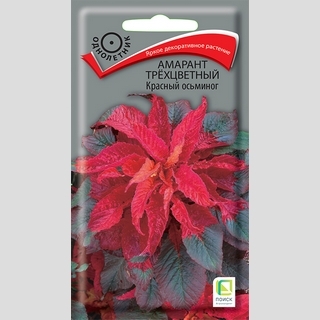 Амарант Красный осьминог трехцветный