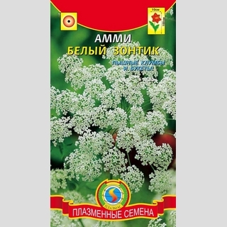 Амми Белый зонтик