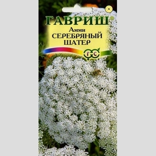 Амми Серебряный шатер