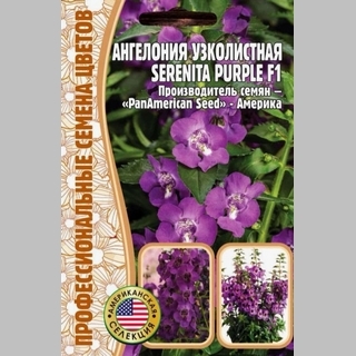 Ангелония Serenita Рurple F1 (большой пакет)