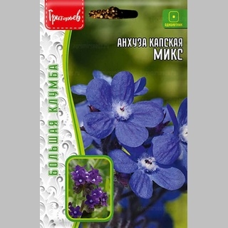 Анхуза капская Микс (большой пакет)