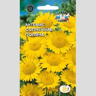 Антемис Солнечная поляна