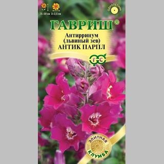 Антирринум Антик Парпл (Львиный зев)