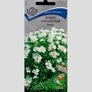Арабис альпийский Белый