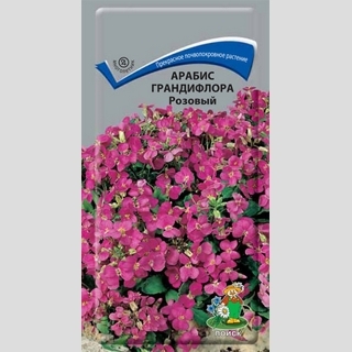 Арабис грандифлора Розовый
