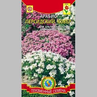 Арабис Персидский ковер