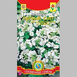 Арабис Первый Снег