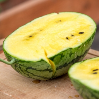 Арбуз Феерверк F1