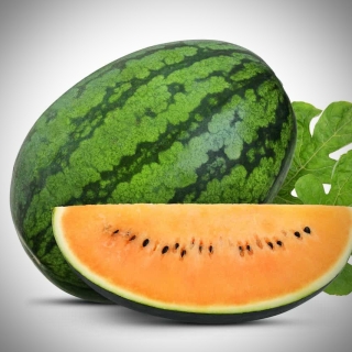 Арбуз Медовый тигр F1