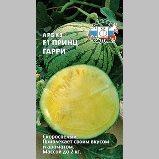 Арбуз Принц Гарри F1