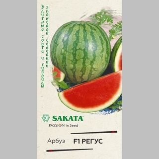 Арбуз Регус F1 (бессемянный)