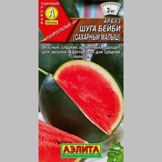 Арбуз Шуга Бейби