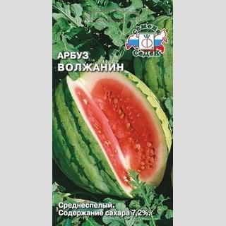Арбуз Волжанин