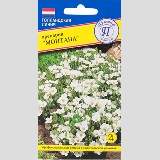 Аренария Монтана