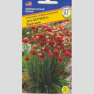 Армерия Балерина Красная