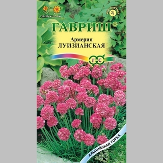 Армерия Луизианская (приморская)