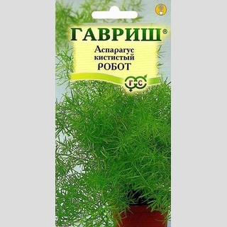 Аспарагус Робот кистистый