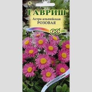 Астра Снежная королева (розовая) (альпийская)