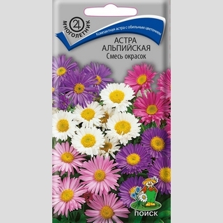 Астра Смесь окрасок (альпийская)
