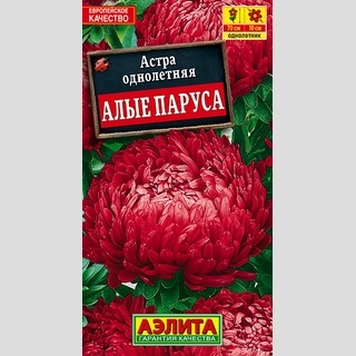Астра Алые паруса