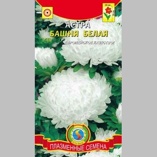 Астра Башня Белая