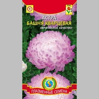 Астра Башня Кварцевая