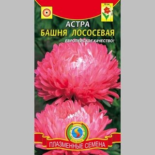 Астра Башня Лососевая