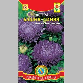 Астра Башня Синяя