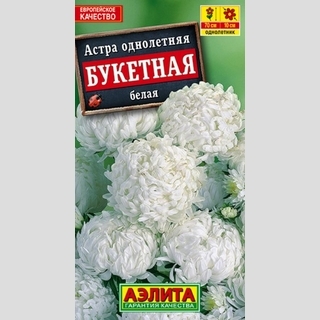 Астра Букетная Белая