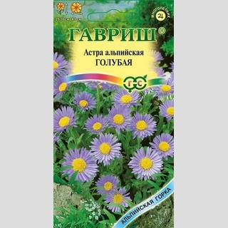 Астра Голубая (альпийская)