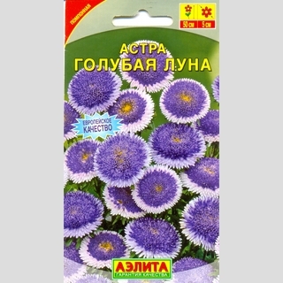 Астра Голубая луна