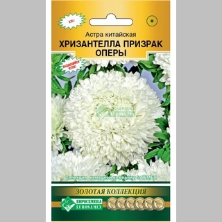 Астра Хризантелла Призрак Оперы