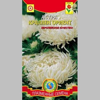 Астра Краллен Ориент