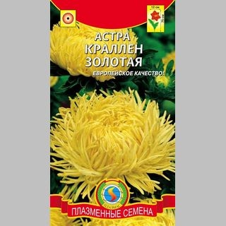Астра Краллен Золотая