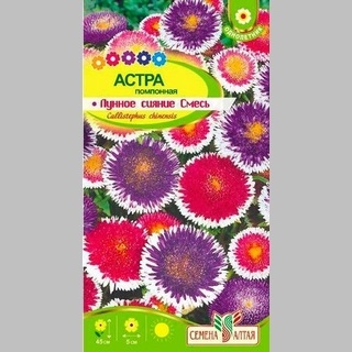 Астра Лунное сияние смесь