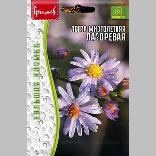 Астра Лазоревая (альпийская) (большой пакет)