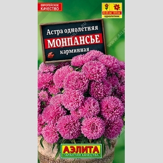 Астра Монпансье Карминная