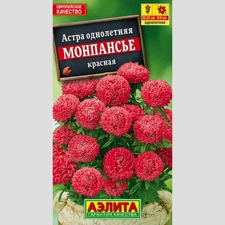 Астра Монпансье Красная