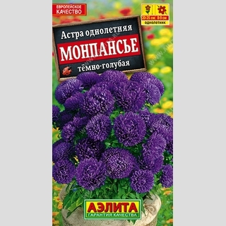 Астра Монпансье Темно-голубая