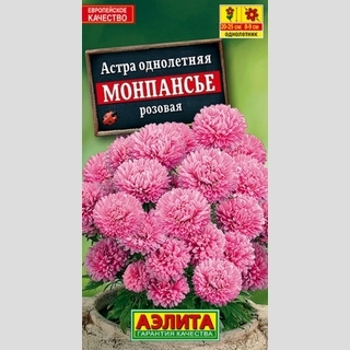 Астра Монпансье Розовая