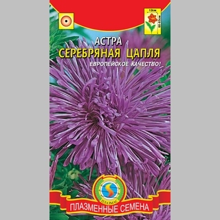 Астра Серебряная цапля