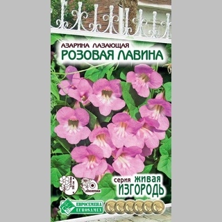 Азарина Розовая Лавина