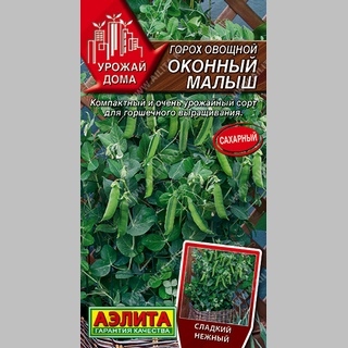 Горох Оконный малыш