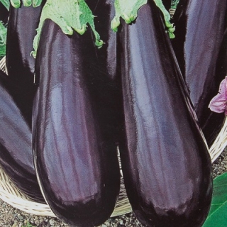 Баклажан Боярин F1