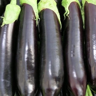 Баклажан Для Барбекю F1