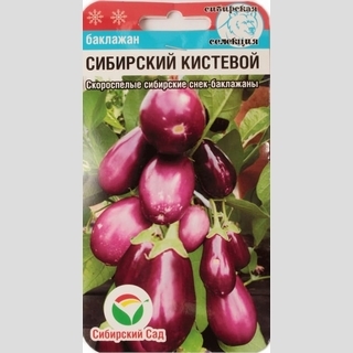 Баклажан Сибирский кистевой