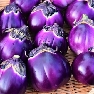 Баклажан Толстушка из Флоренции (большой пакет)